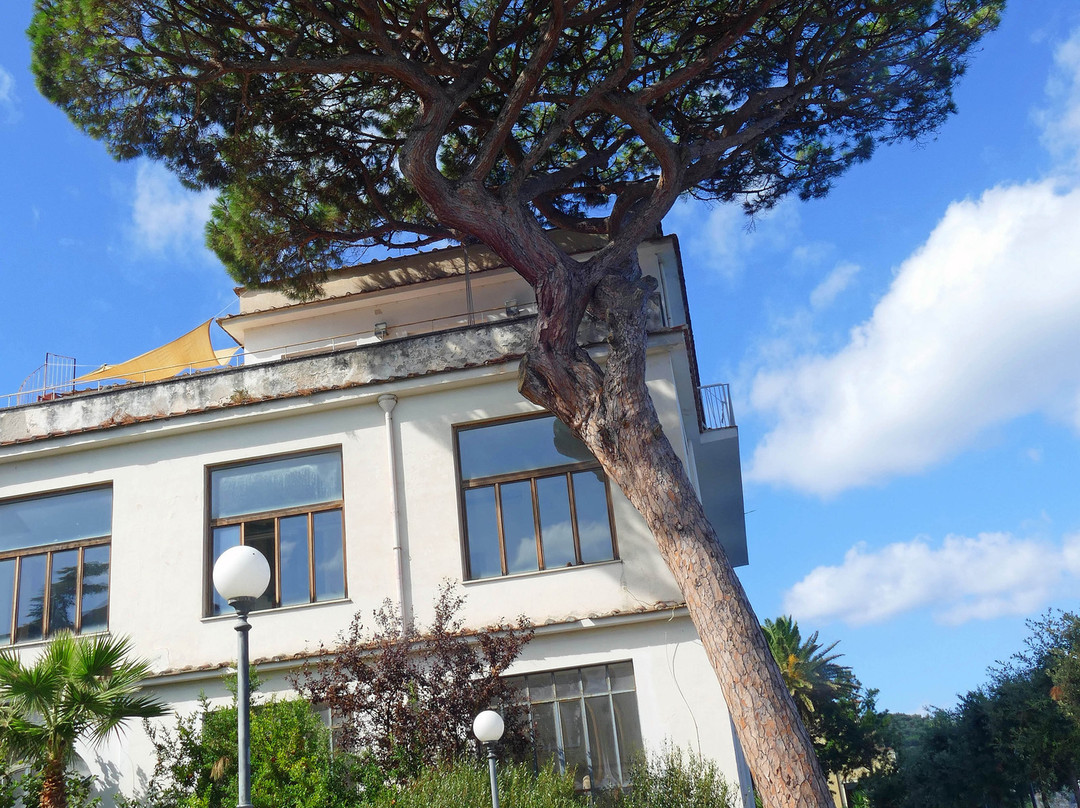 Gallery Raffaele Celentano-索伦托必去景点