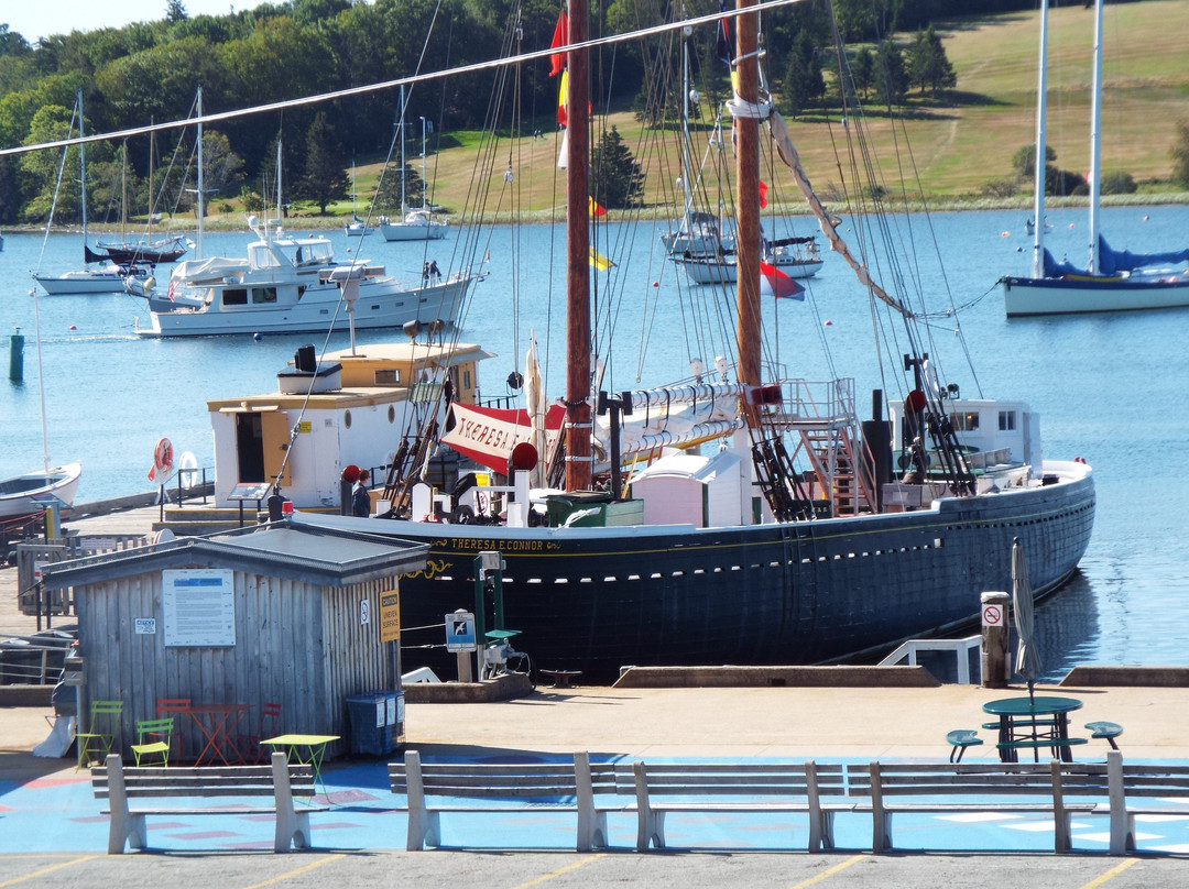 Halifax Taxi Tours-哈利法克斯必去景点