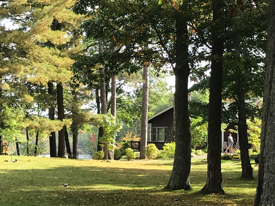 Dillman's Bay Resort主图