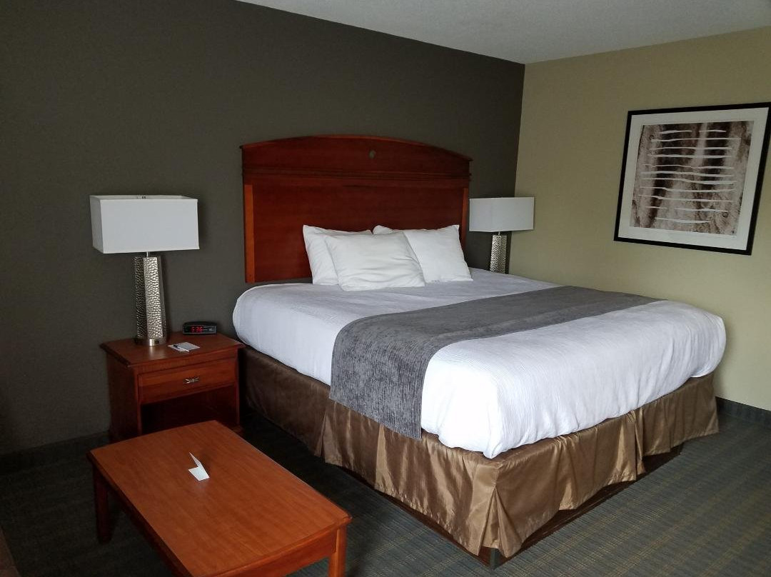 Best Western Delta Inn主图