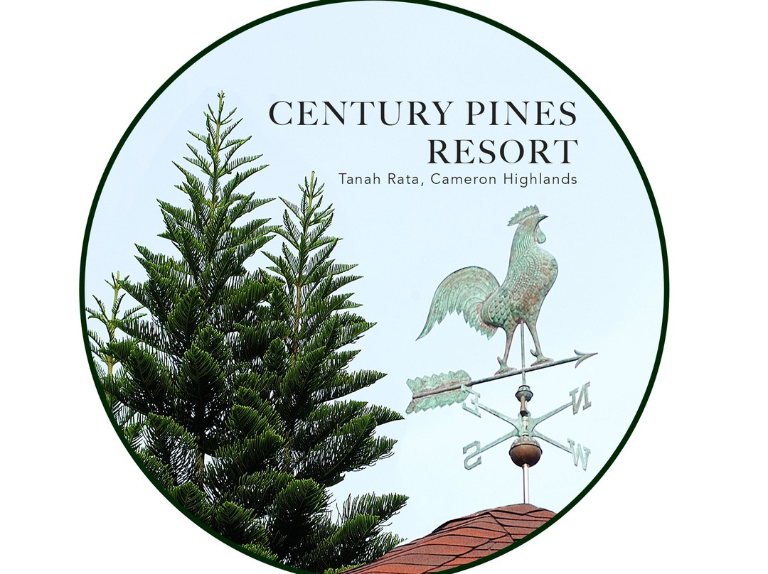 世纪松园度假村主图