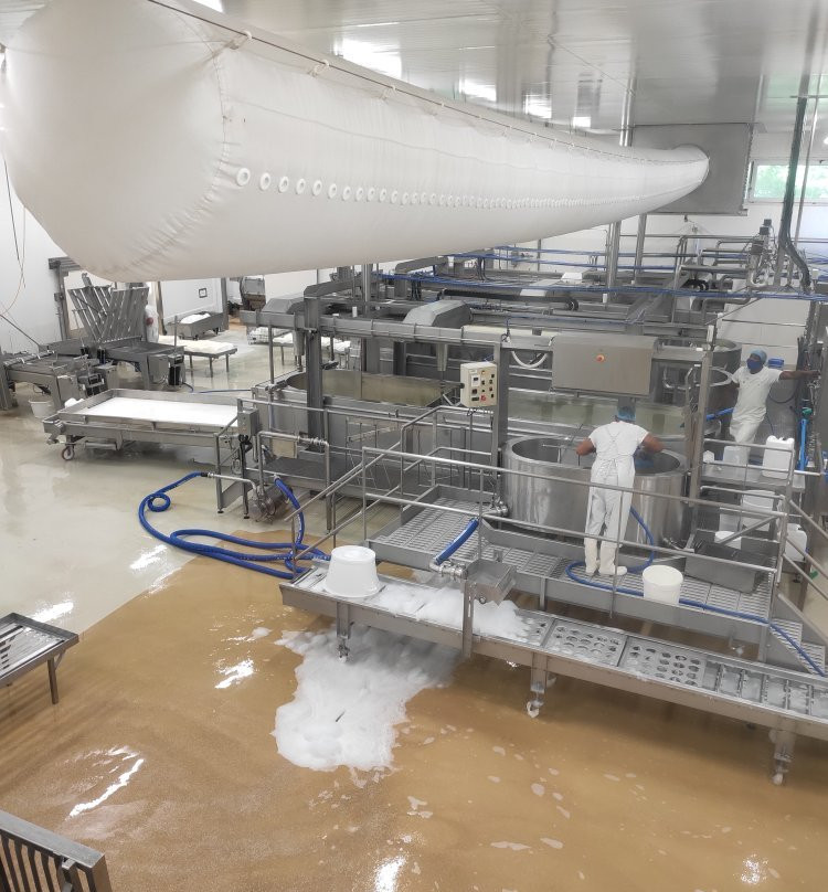 Visite Cooperative Fromagere Jeune Montagne景点图片
