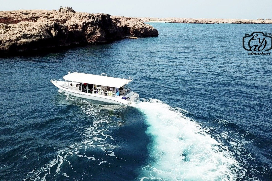 Alrabdan Diving And Sea Tours景点图片