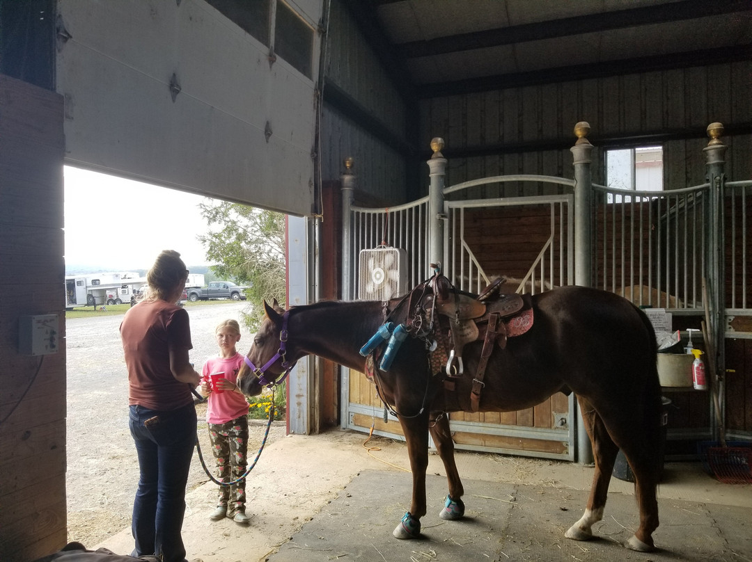 Clearview Horse Farm B&B主图