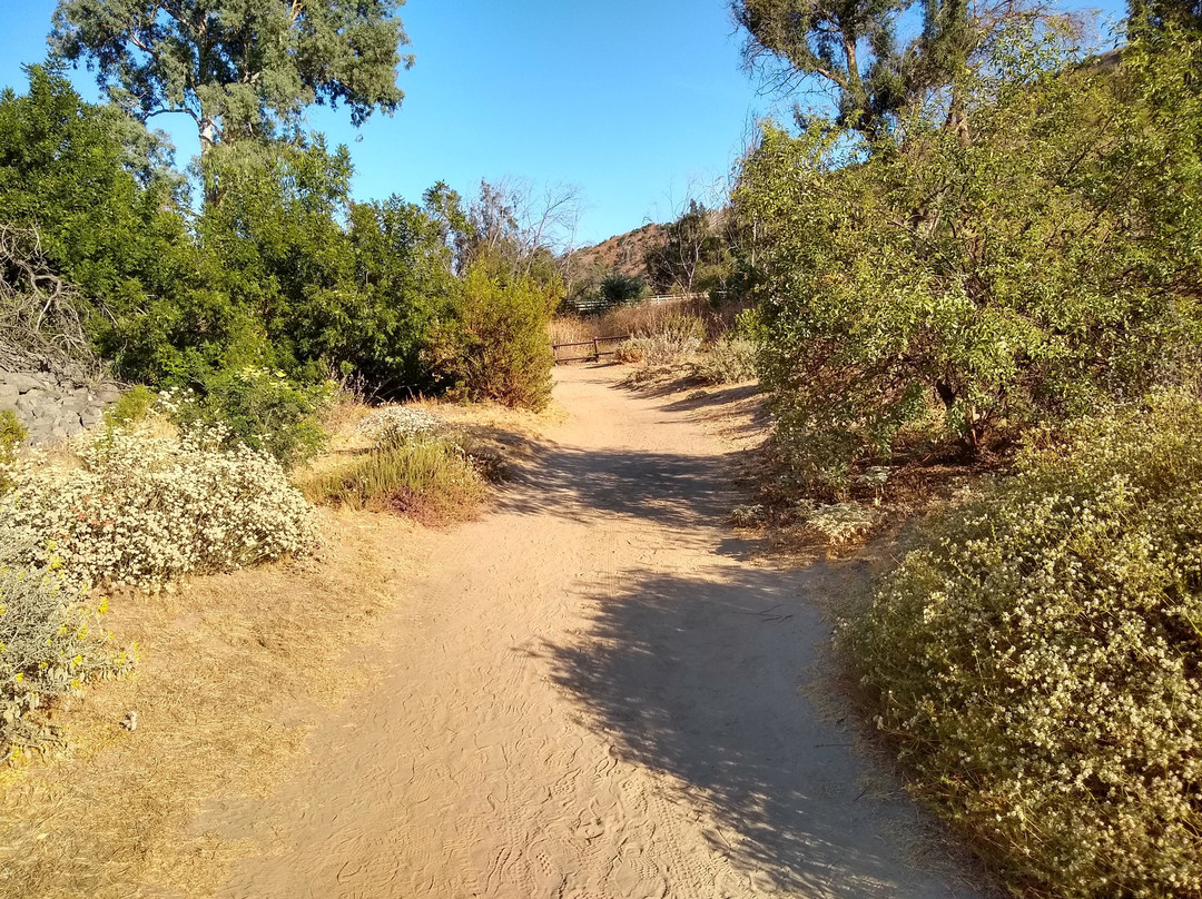 Carbon Canyon Nature Trail-Brea必去景点