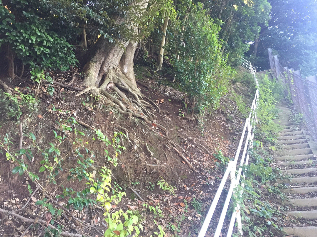 Mioya Shrine-隐岐之岛町必去景点