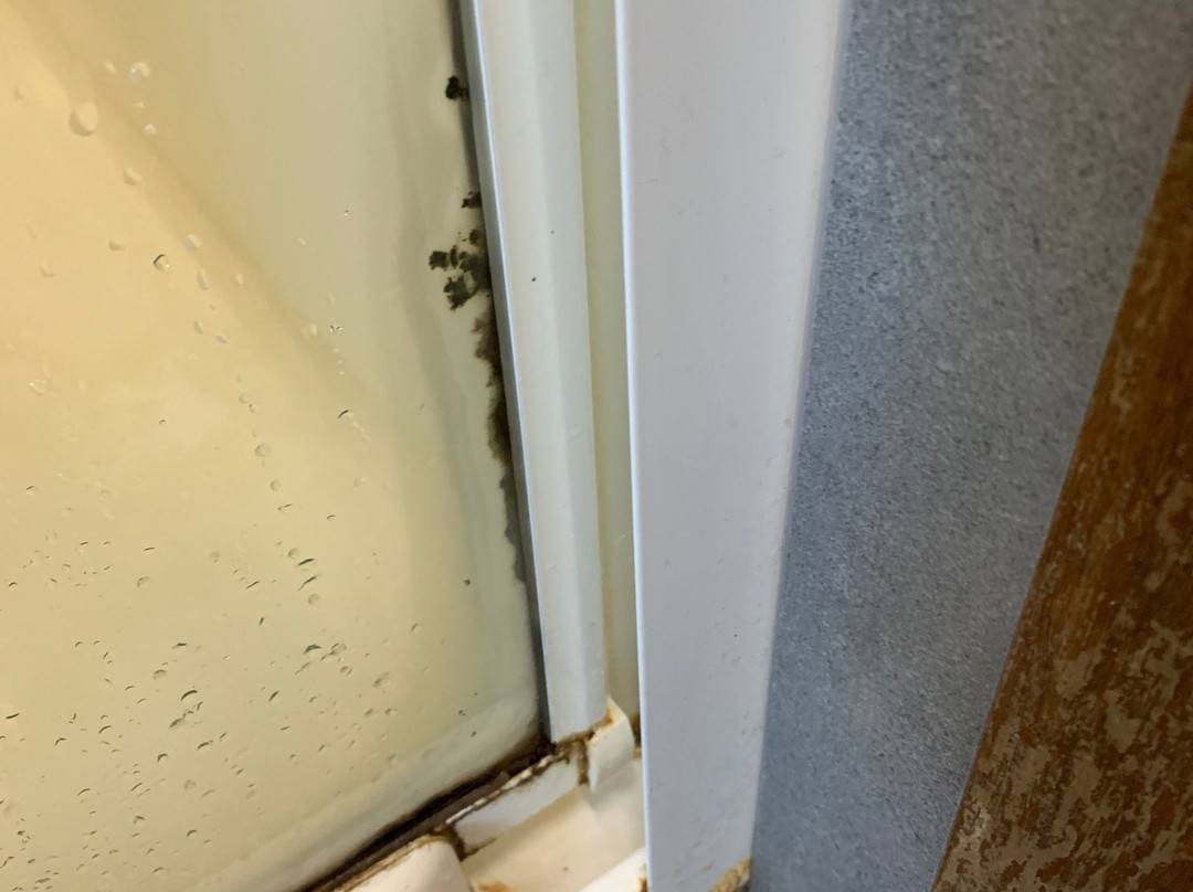 Bendigo Homestead Motor Inn & Apartments主图