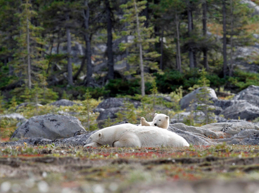 Churchill Hotel & Guesthouse主图