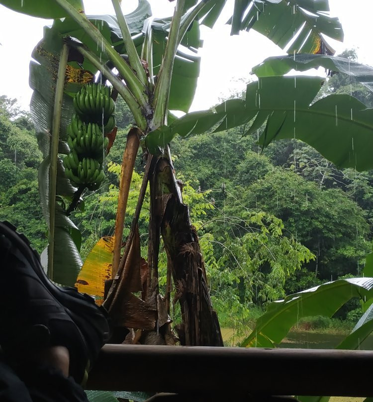 Hotel Hacienda Sueno Azul主图