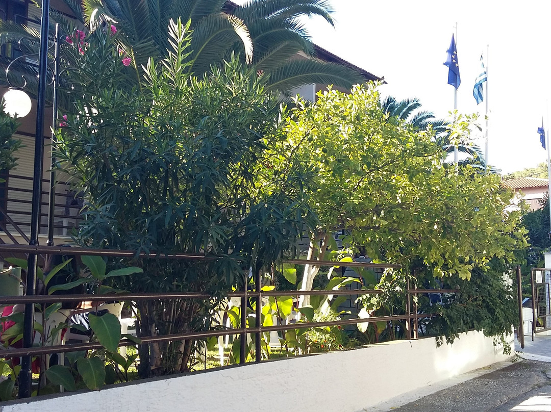 Vlachogiannis Hotel主图