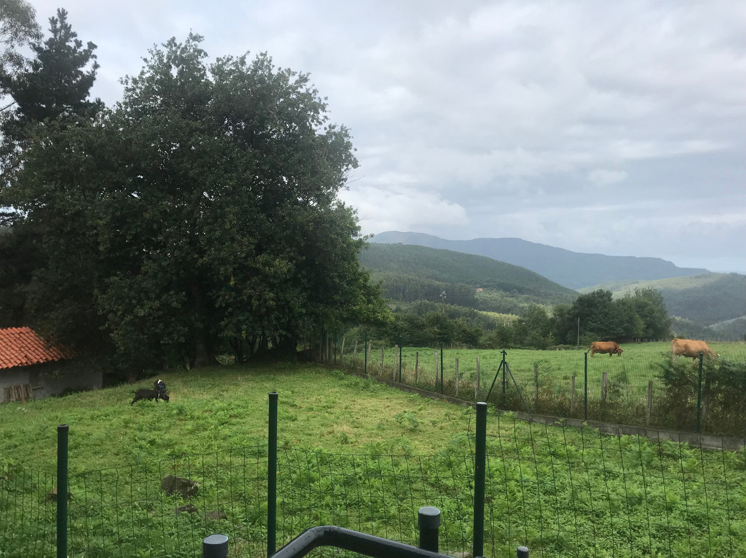 Casa Rura Arrizurieta Landetxea主图