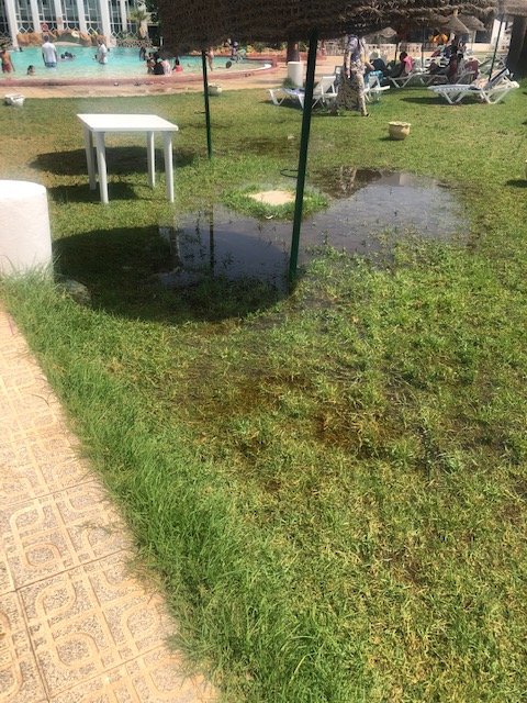 Caribbean World Hammamet Garden-泳池