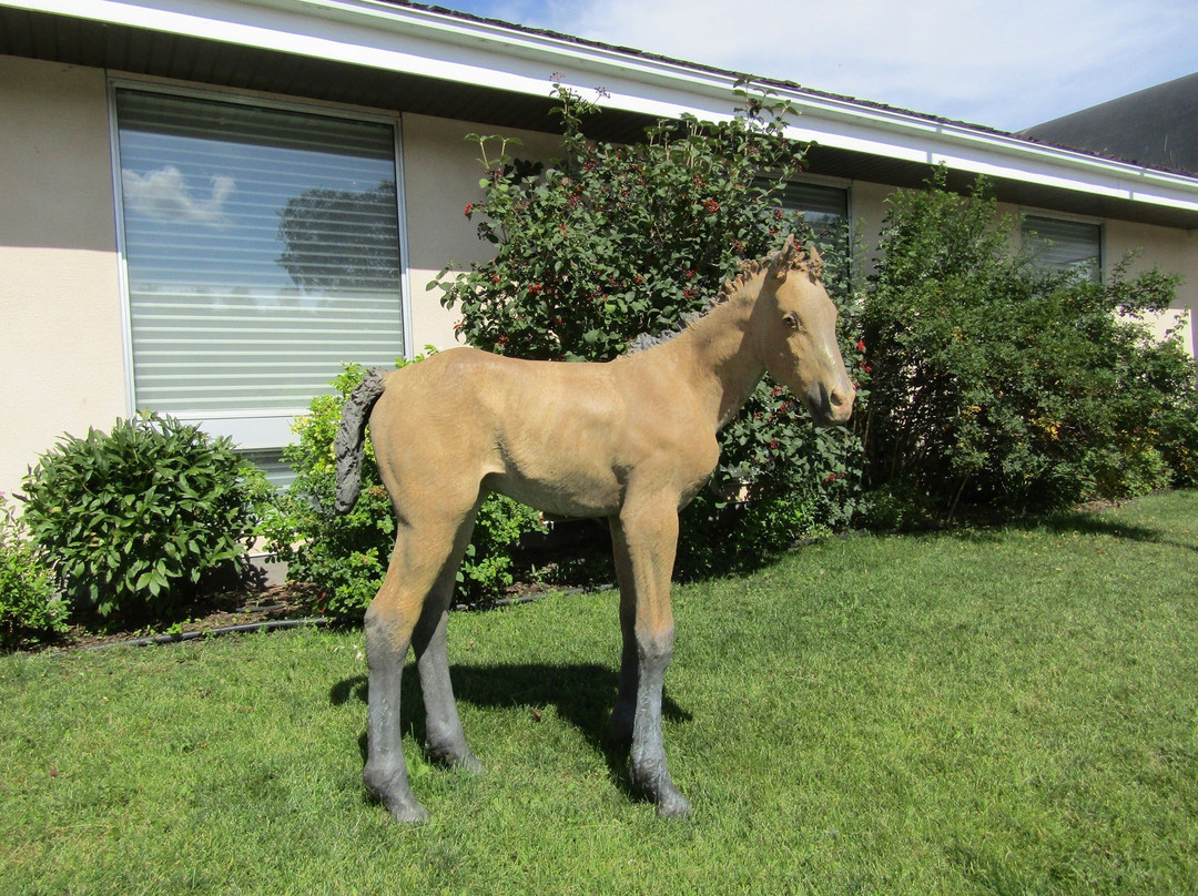Shurniak Art Gallery-Assiniboia必去景点