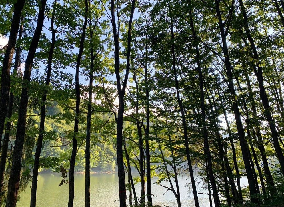 Lacul De Acumulare Firiza-Baia Mare必去景点