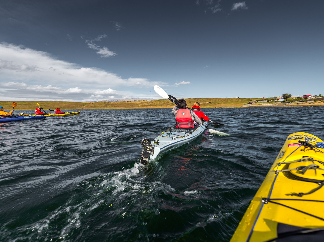 VC Patagonia-纳塔莱斯港必去景点
