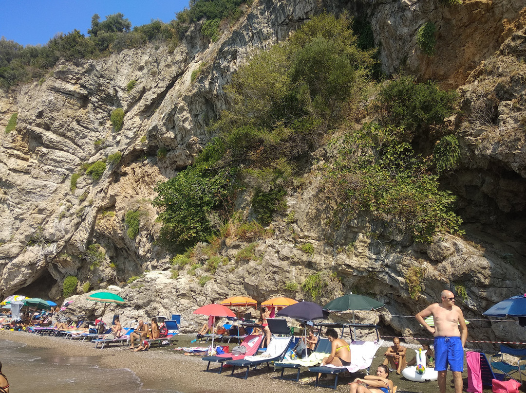 Spiaggia Della Tartaruga景点图片