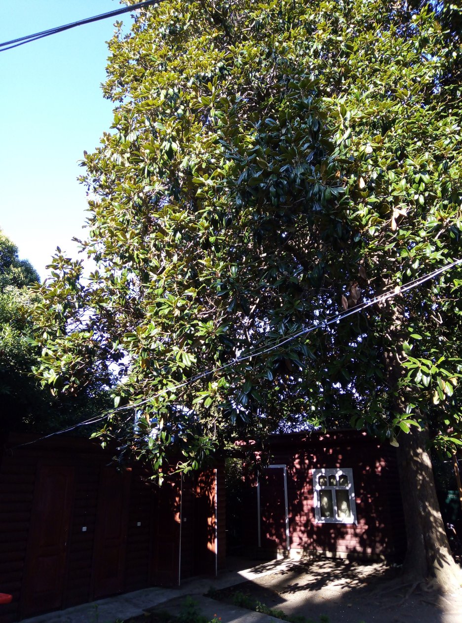 Magnoliya Guest House-浴室