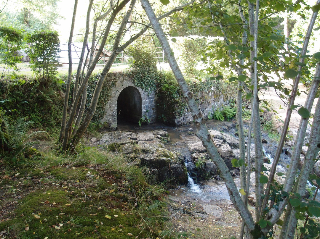 Petite Cascade de Mortain景点图片