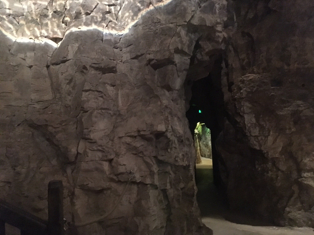 Société des Caves Roquefort - Visite des Caves景点图片