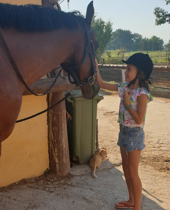 Ippikos Omilos Kalamatas-卡拉马塔必去景点