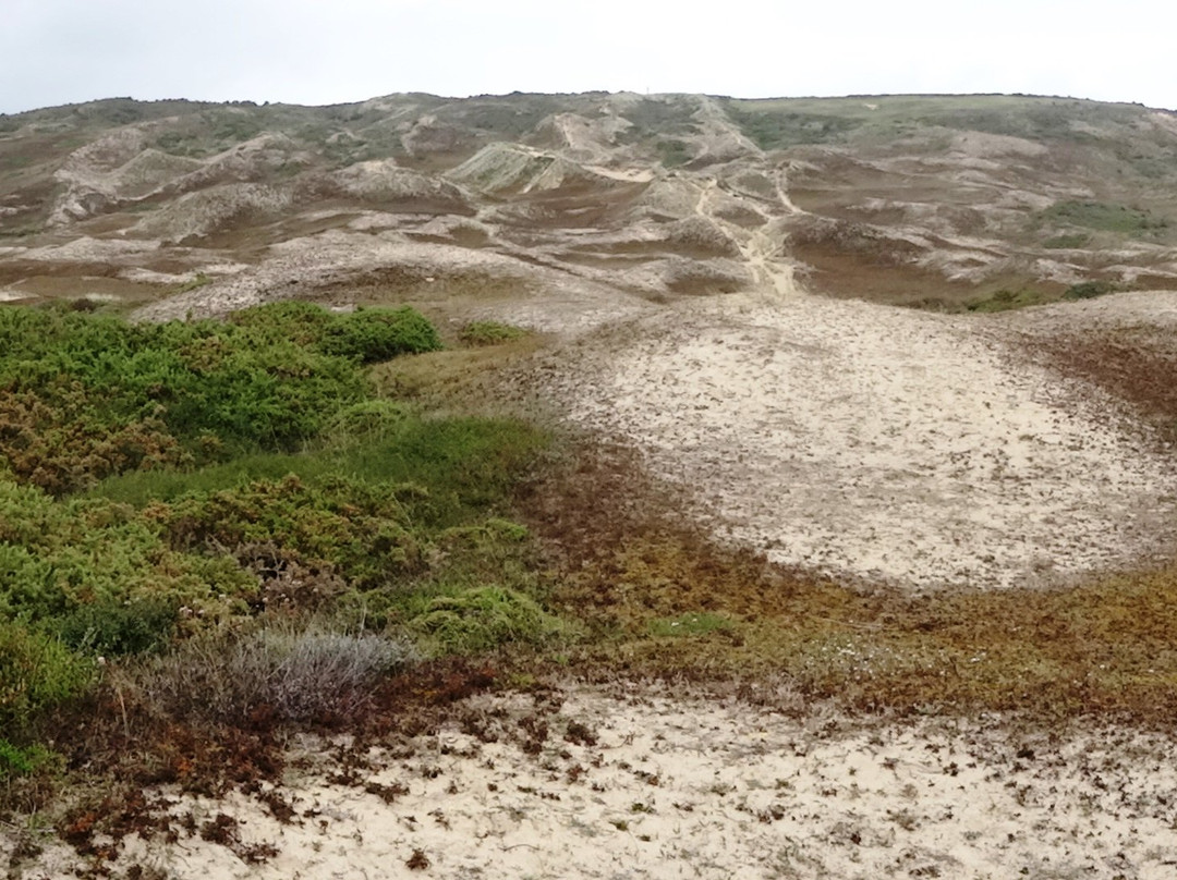 Dune de Biville-La Hague必去景点