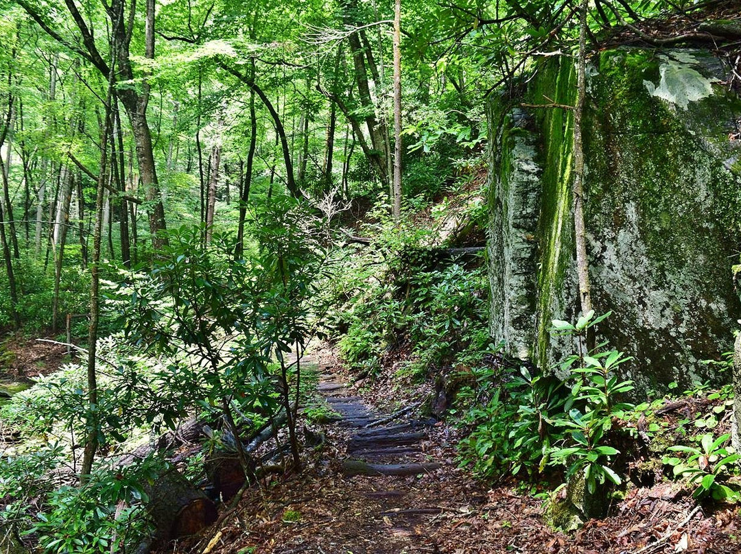 Doughton Park Campground and National Recreation Area景点图片