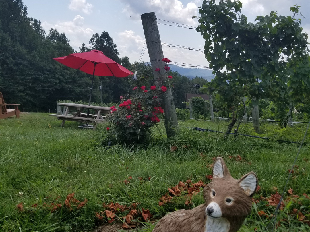 Fox Meadow Winery景点图片