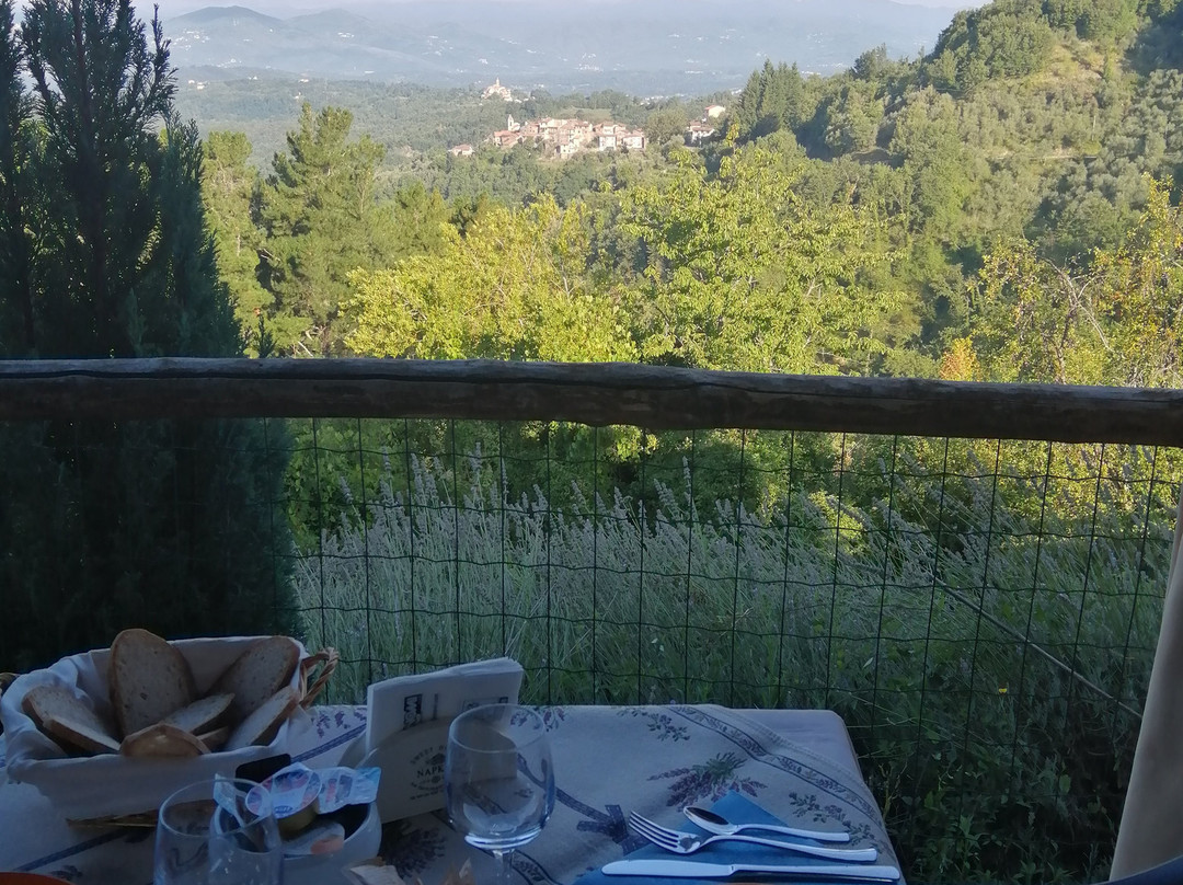 La Collina Del Sole主图