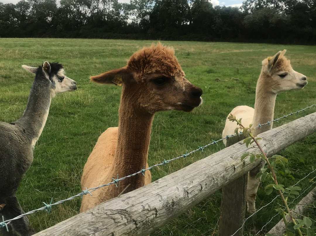 Epwell旅游攻略图片