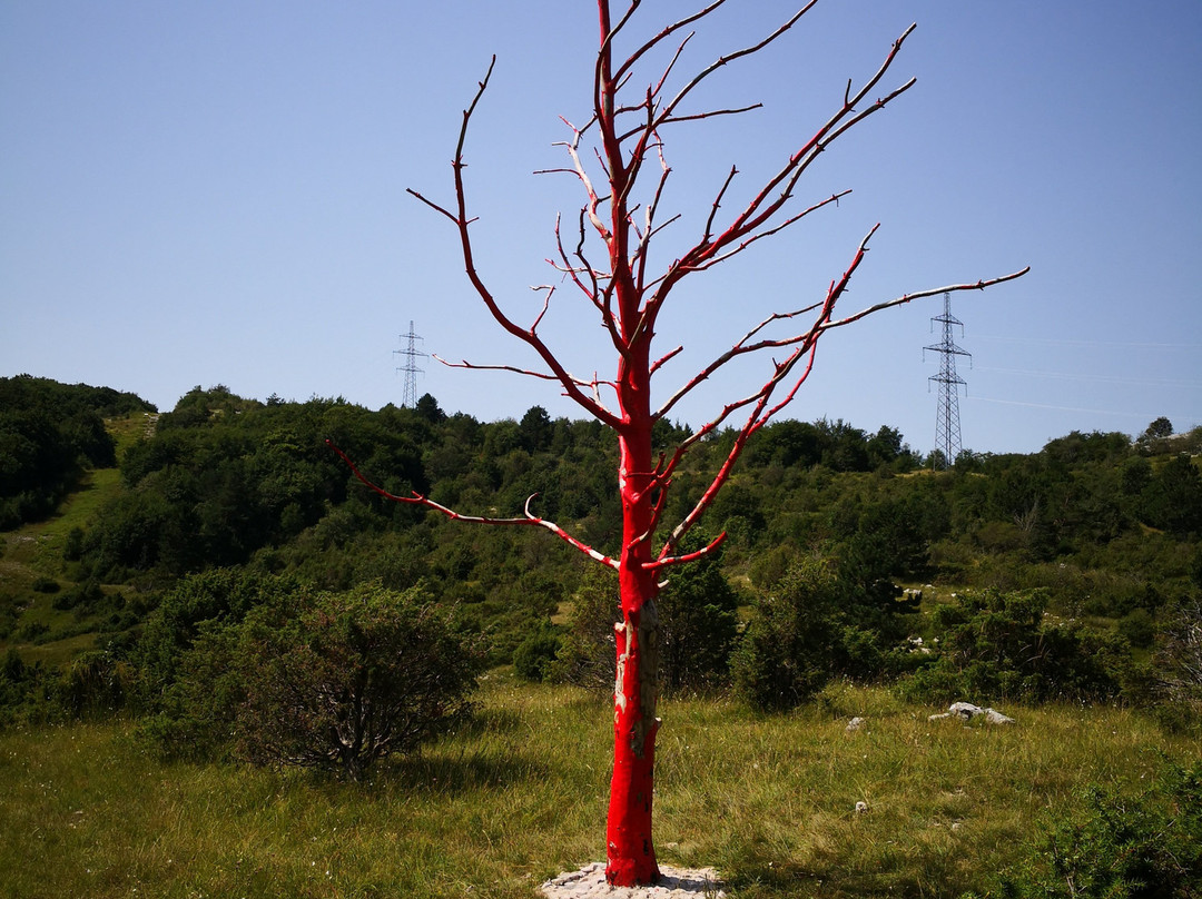 Učka Land Art Trail景点图片