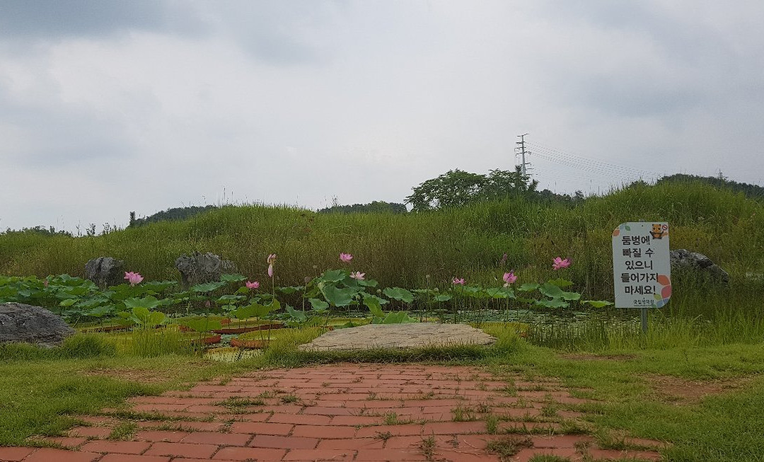 National Institute of Ecology-舒川郡必去景点