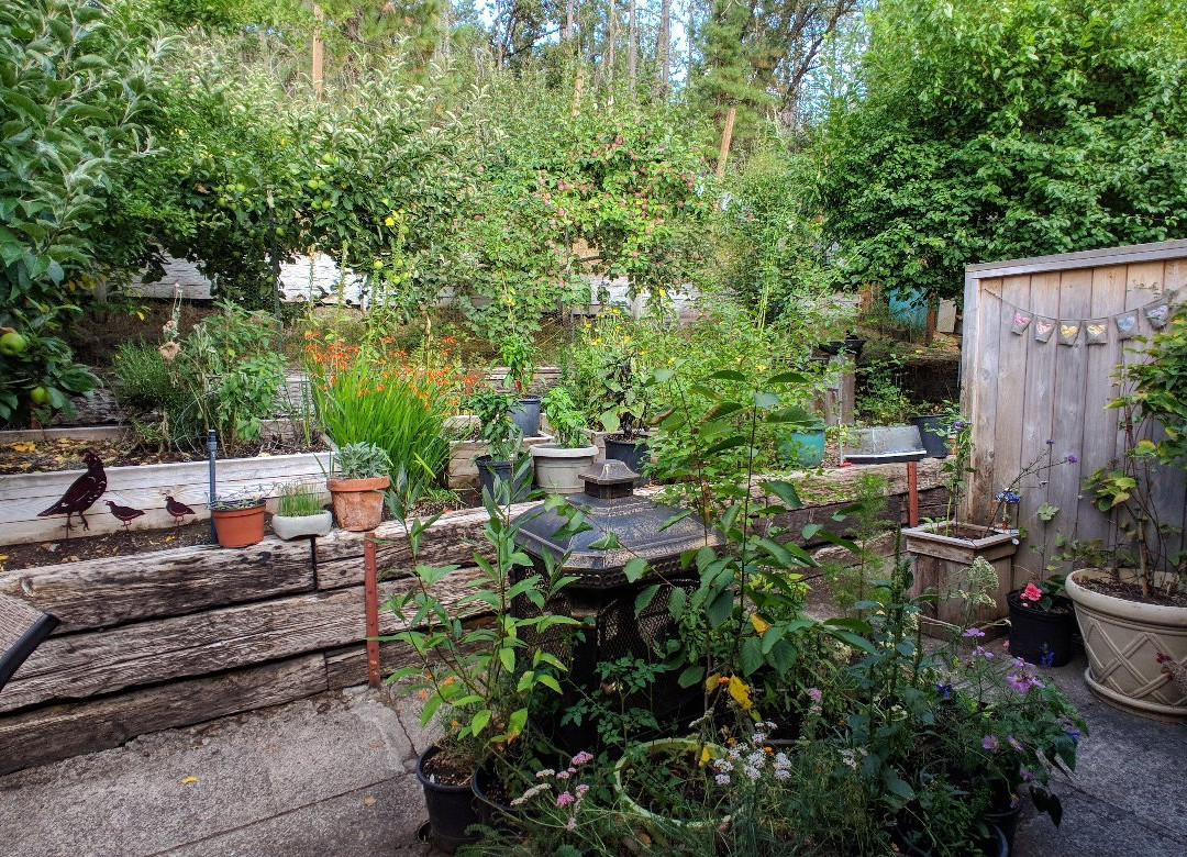 Velo Bed and Breakfast主图