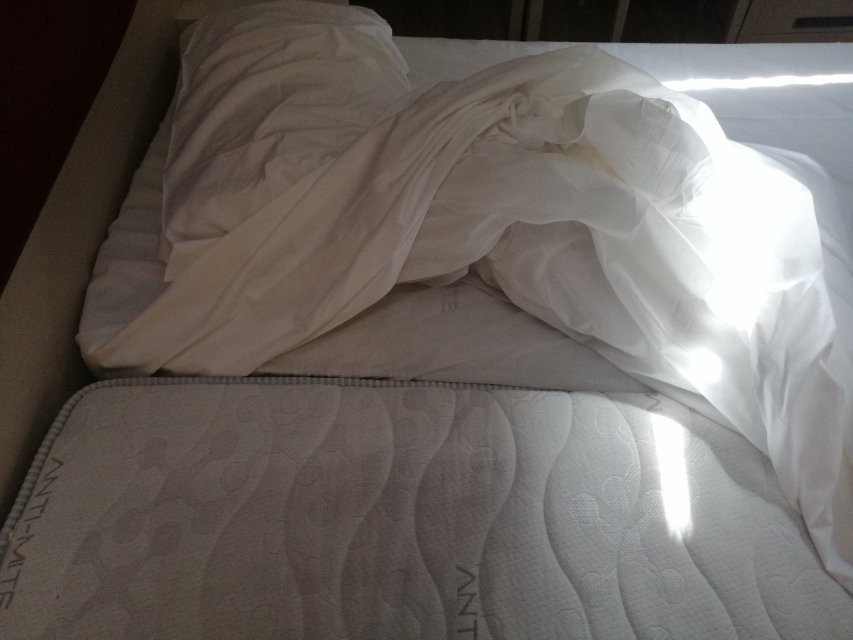 Hotel il Mulinaccio主图