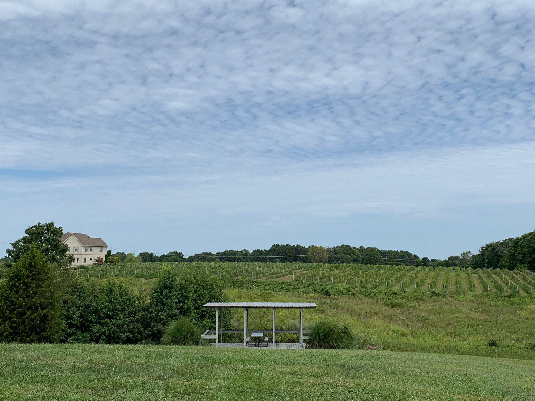 Madison Vineyards B&B-官方