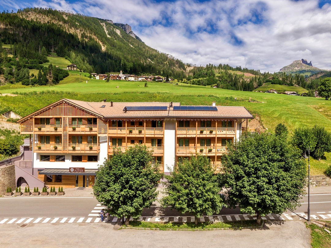 Chalet Aster Hotel主图