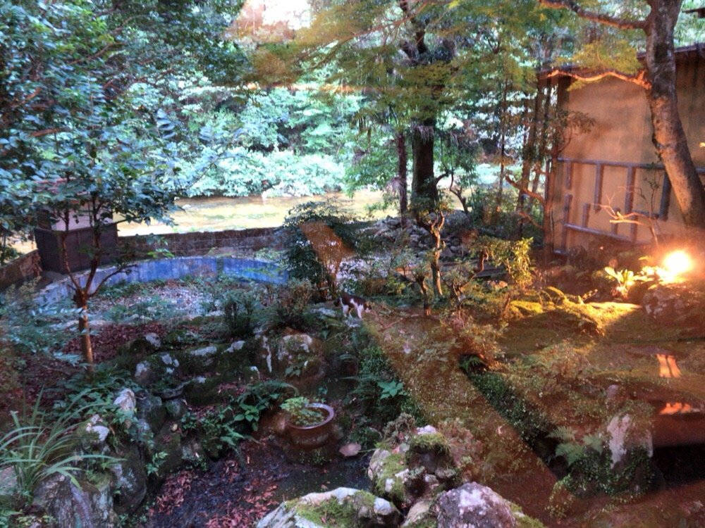 Hazuki-官方
