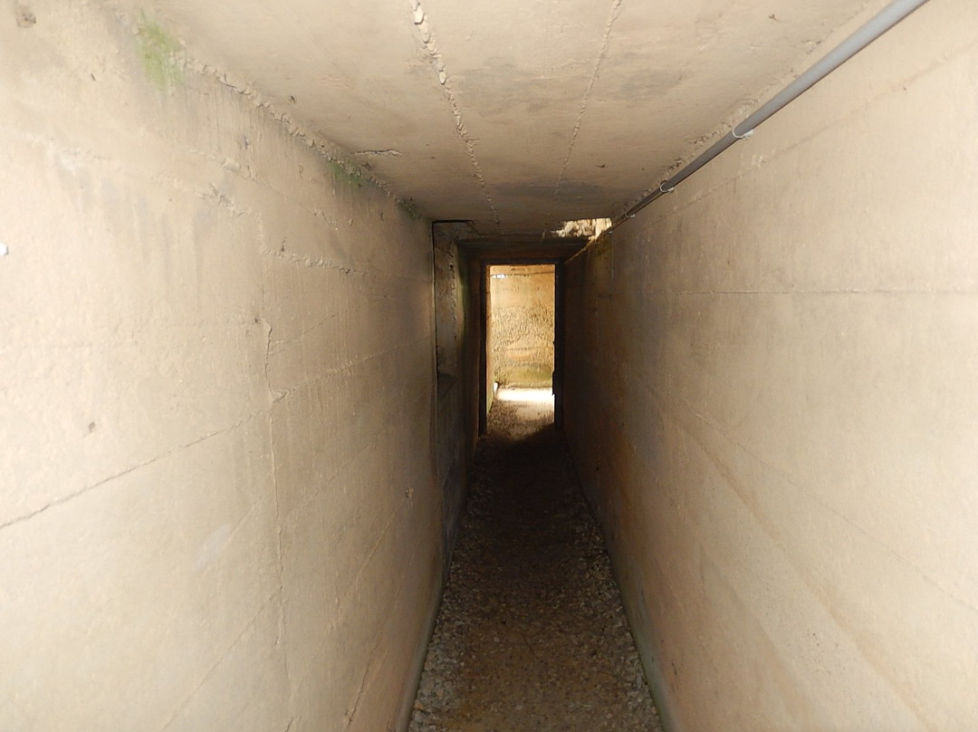 La Batterie d'Azeville (Azeville gun battery)景点图片