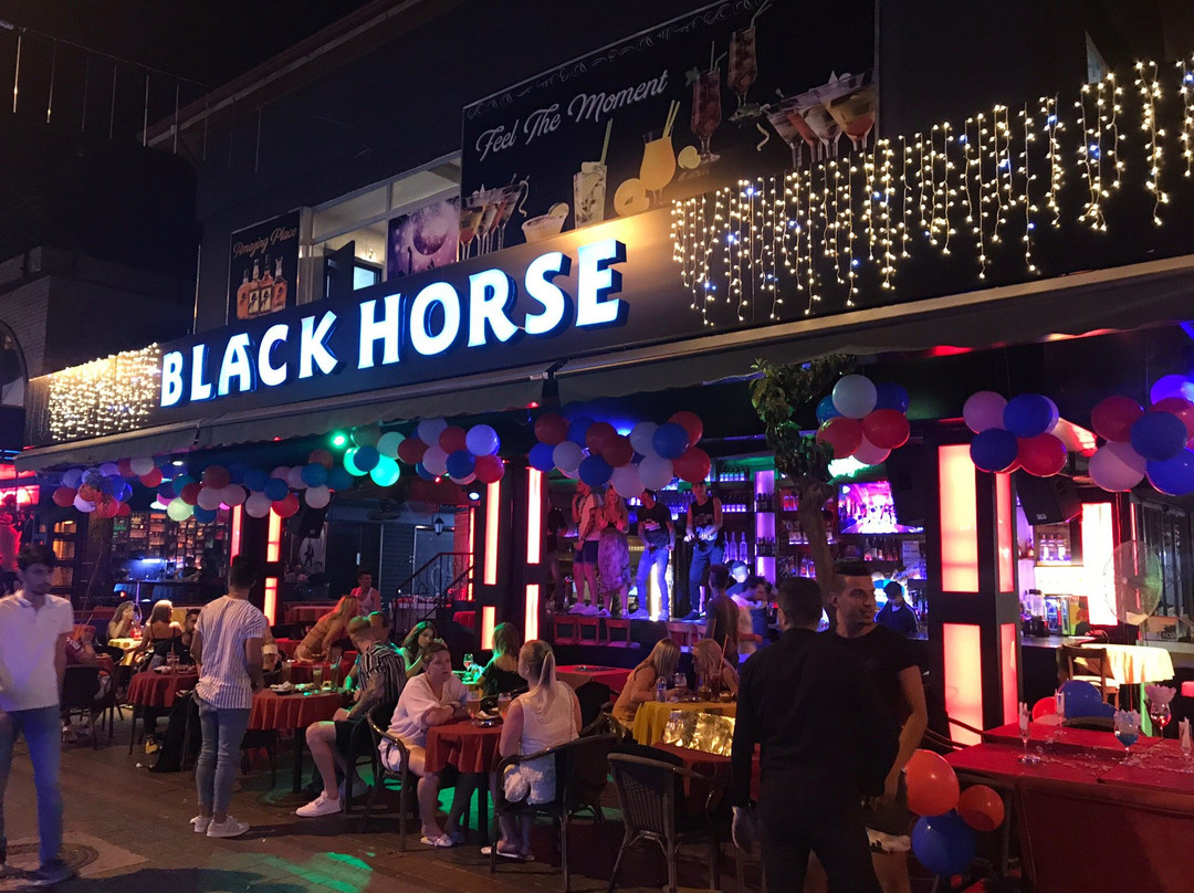 Black Horse Bar景点图片