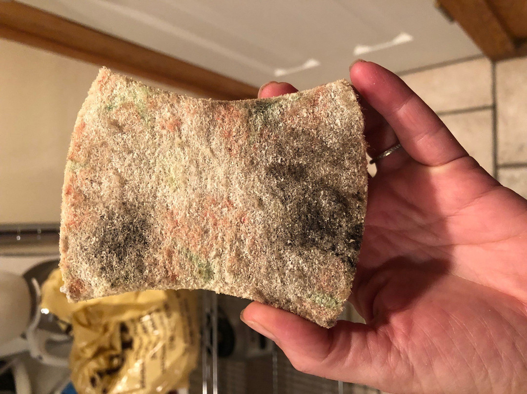 Blue Waters Hotel主图