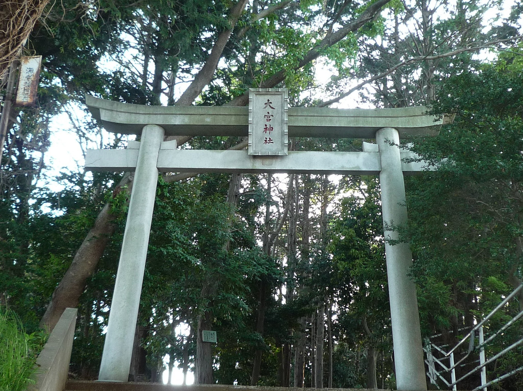 Omiya Shrine-流山市必去景点
