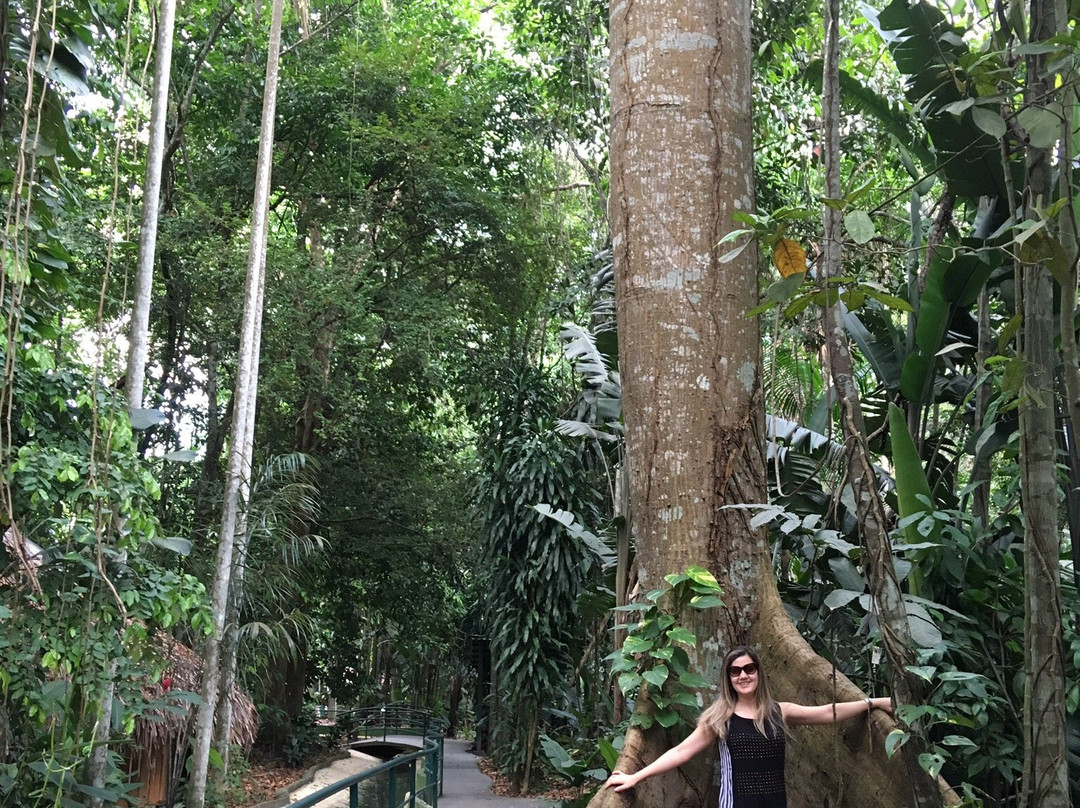 Bosque da Ciencia景点图片