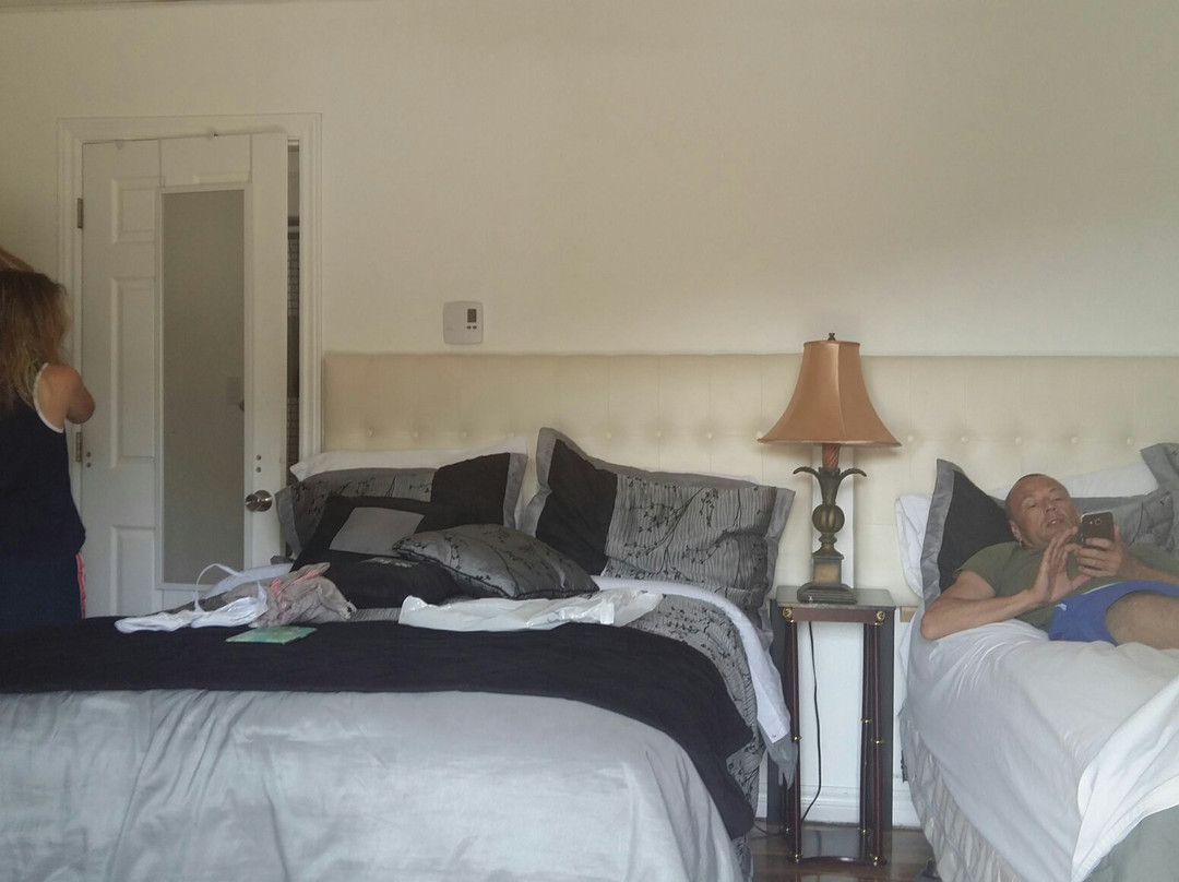 Algonquin Dream Catcher Motel主图