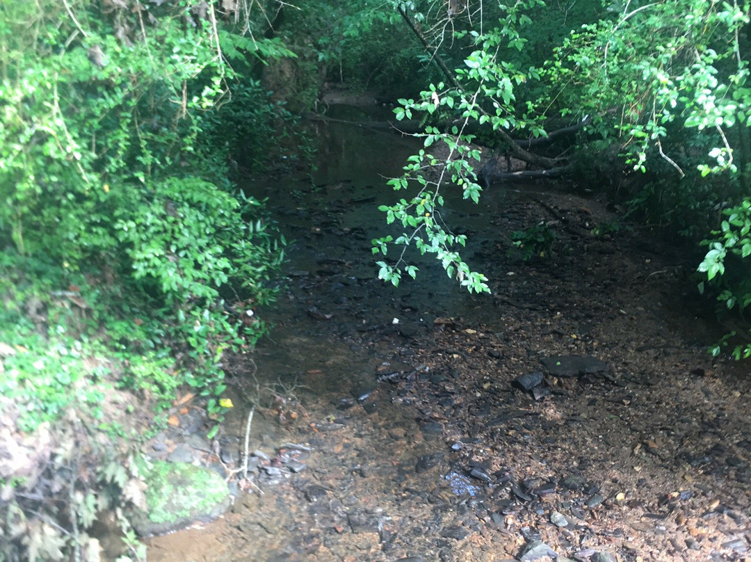 Ridgeview Park-桑迪斯普林斯必去景点