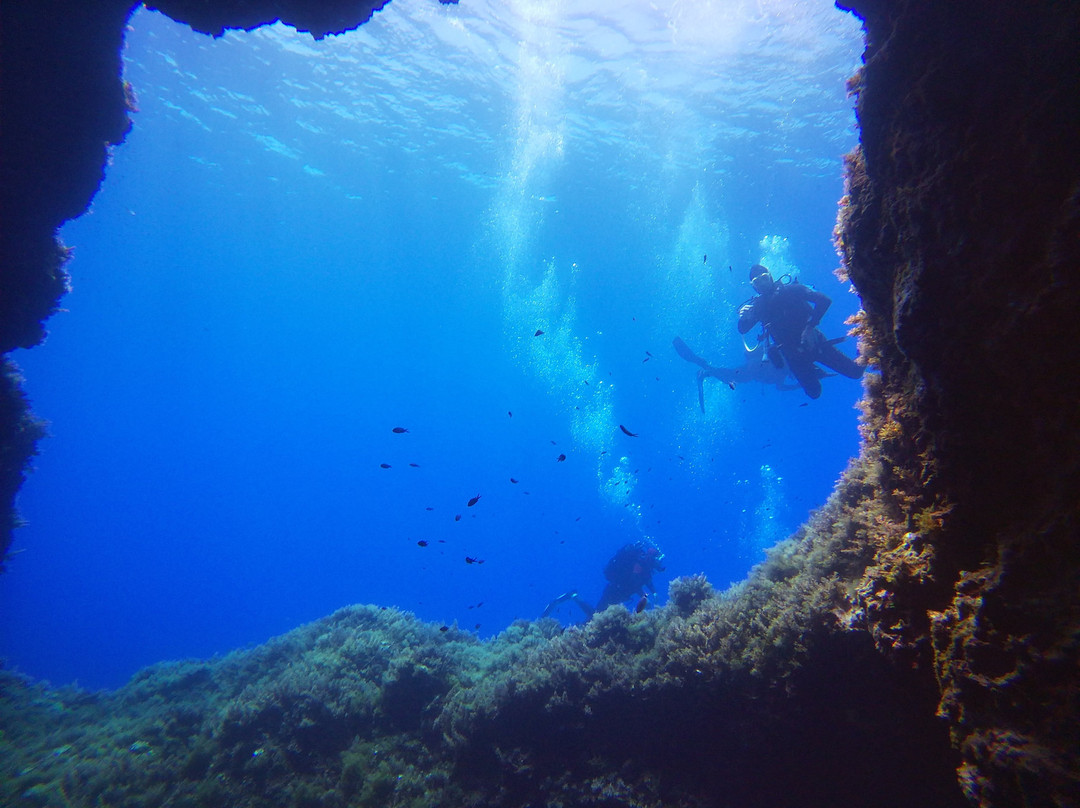 Diving Center Argentario Scuba Point景点图片