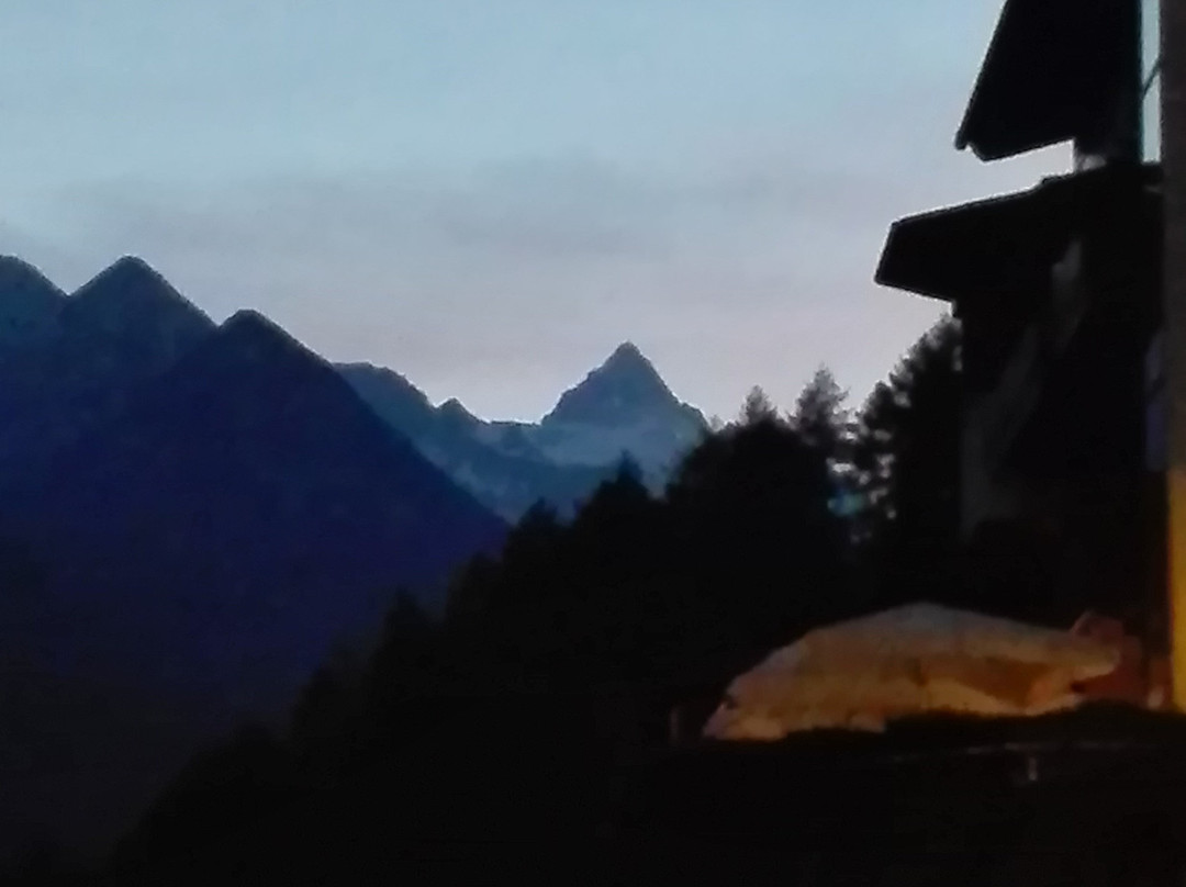 Panorama Hotel Laerchenhof主图