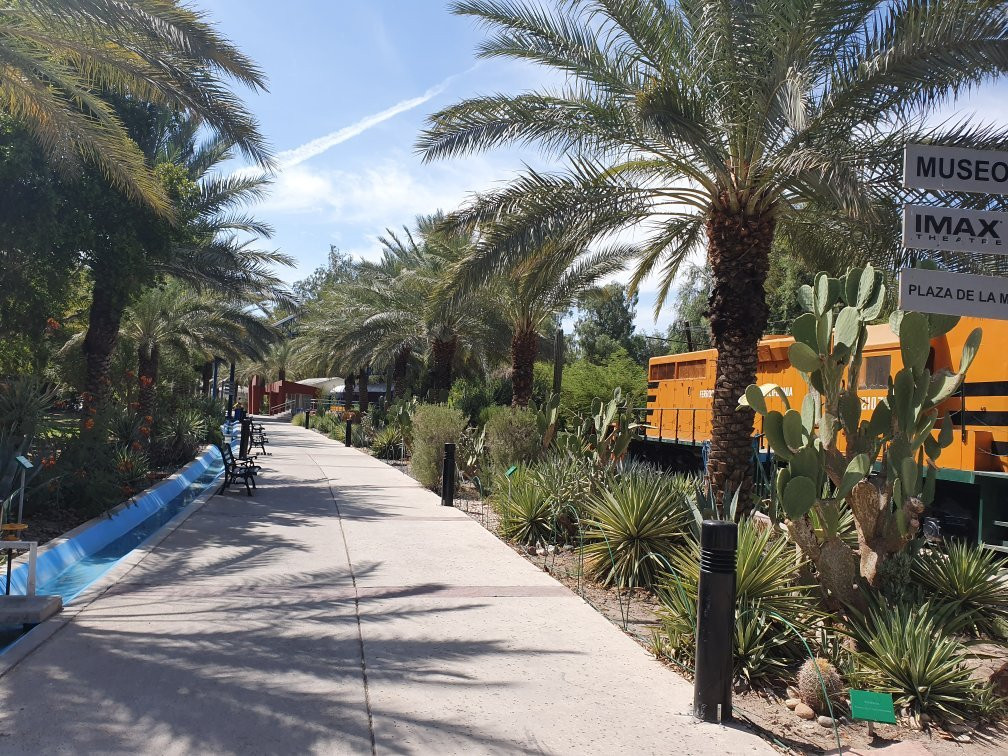 Museo Sol del Nino-Mexicali必去景点