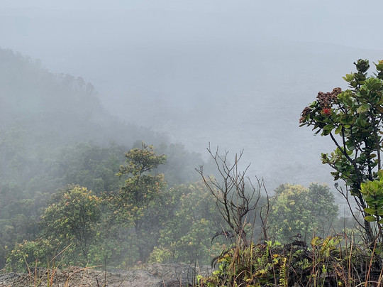 Mauka Makai Adventures-希洛必去景点