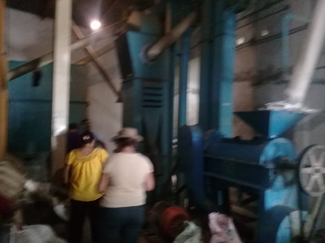 Corazon de Colima Tours-Colima必去景点