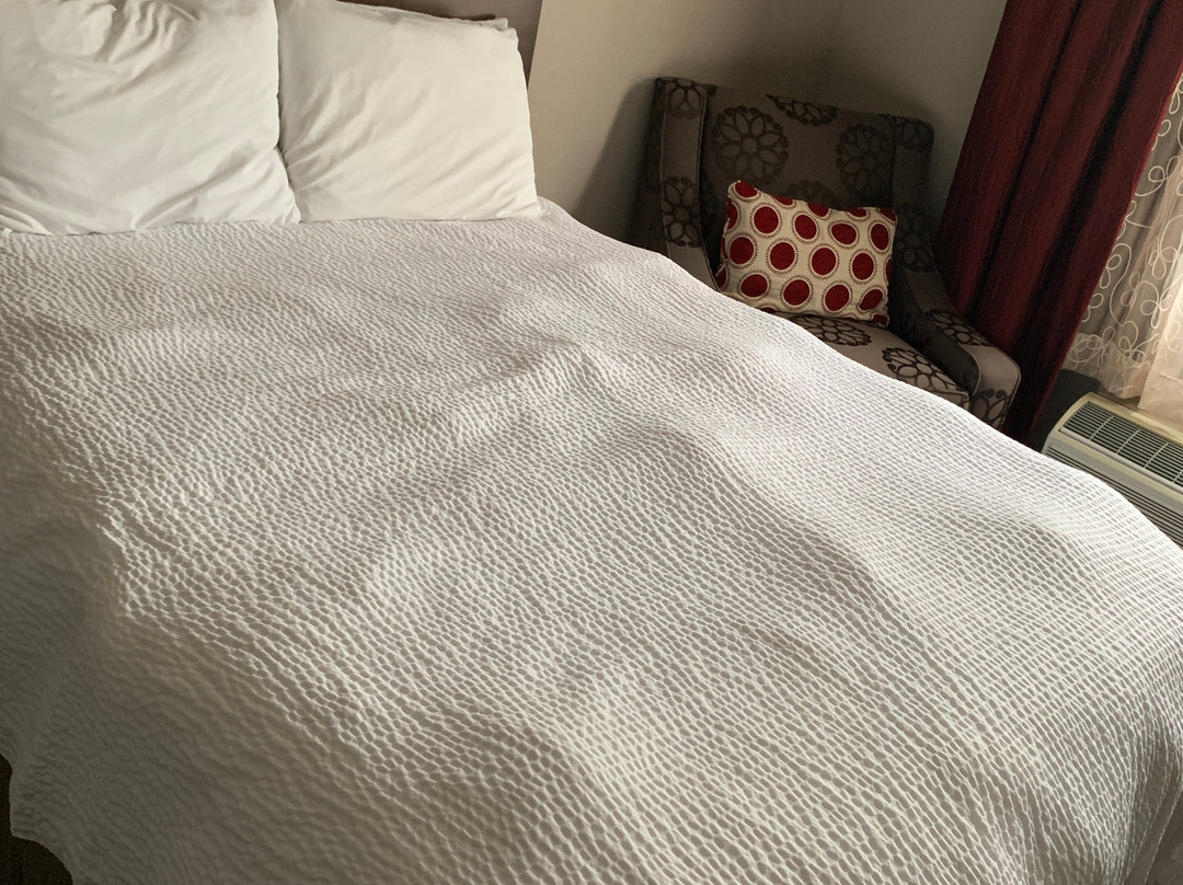 科罗尼尔酒店主图