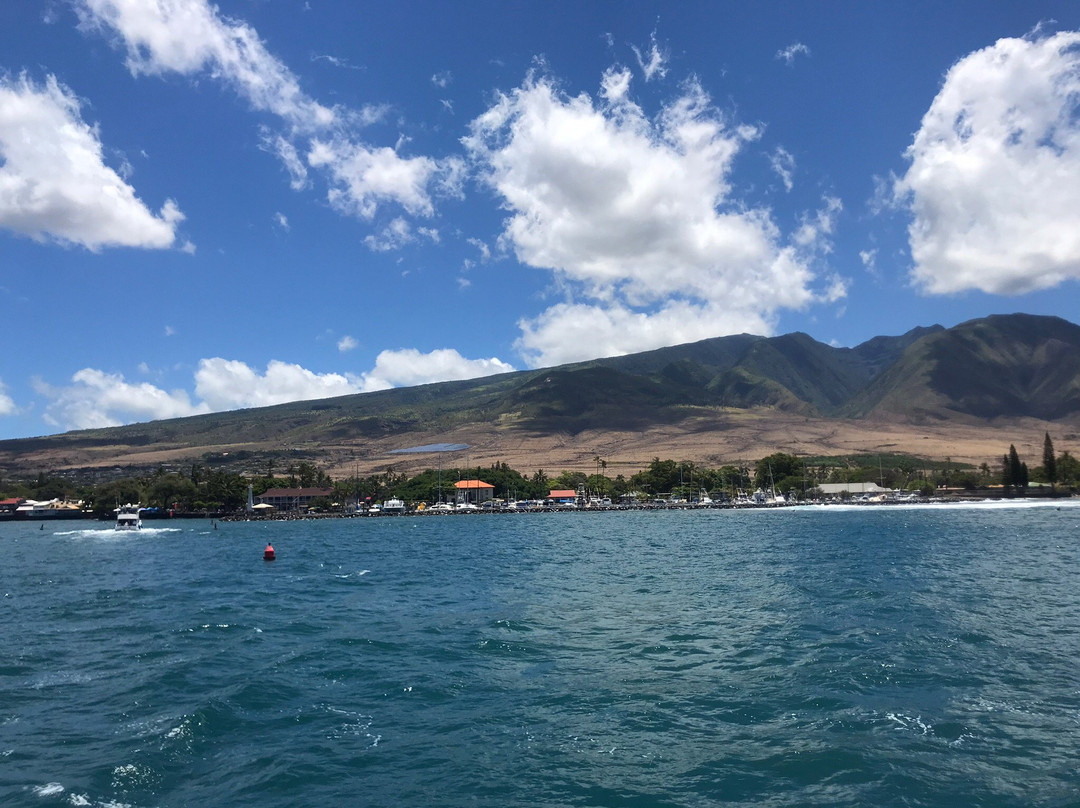 Quicksilver Maui Snorkeling Charters景点图片